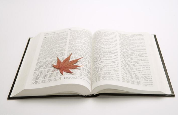 北京文學(xué)書籍翻譯標(biāo)準(zhǔn)價(jià)格 北京文學(xué)書籍翻譯標(biāo)準(zhǔn)價(jià)格