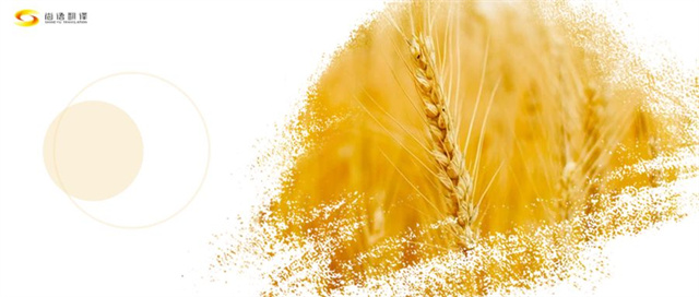 76240337487e17dad2b3a9dc7b8992d5.jpg 圖怪獸_芒種麥穗小麥黃色簡約公眾號首圖_副本.jpg